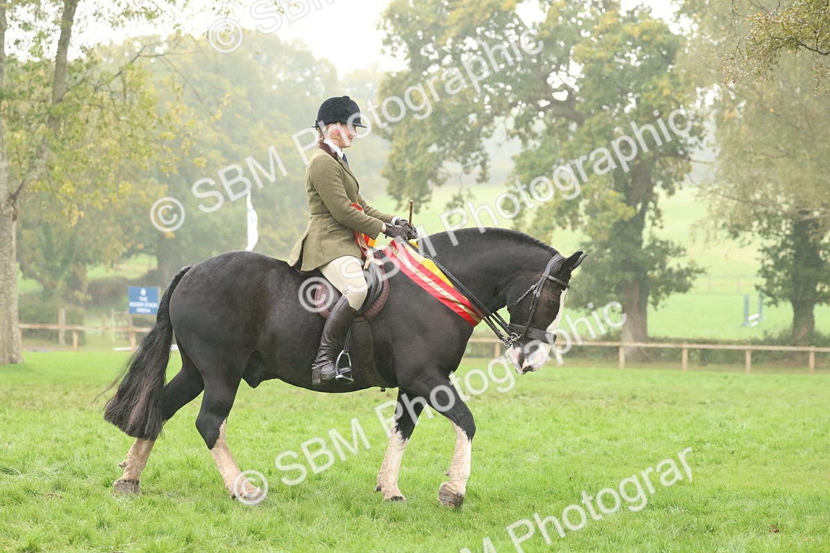 SBM_73184 - Super Supreme Championship(Sun)