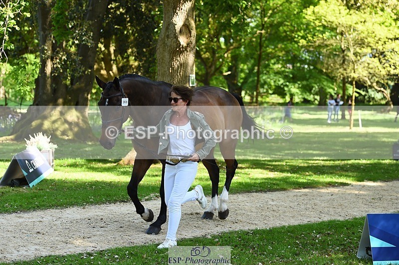 230524-154618-00489 - 369-GIDO_G-Sally_Chamberlain-WEDTrotUp+DR