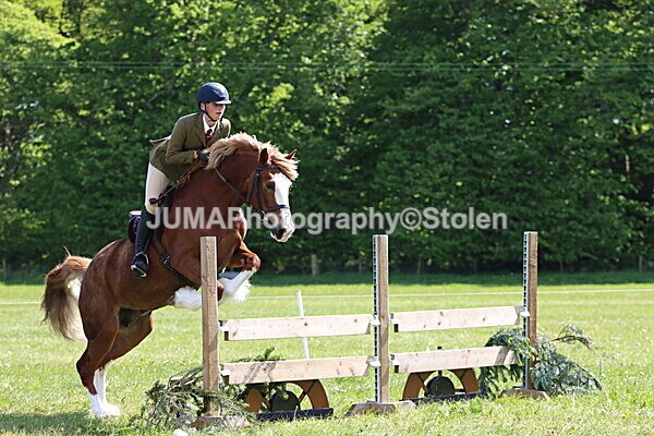 IMG_4359 - Working Hunter