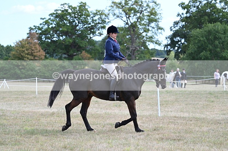 WJ7_5965 - Class 13 Ridden Veterans
