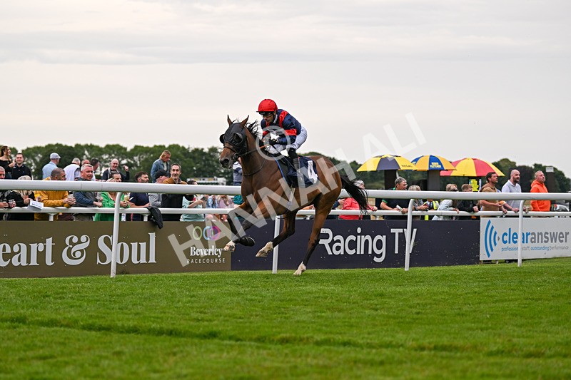 050724-Race 5-Walter Hartright-2537 - Race 5