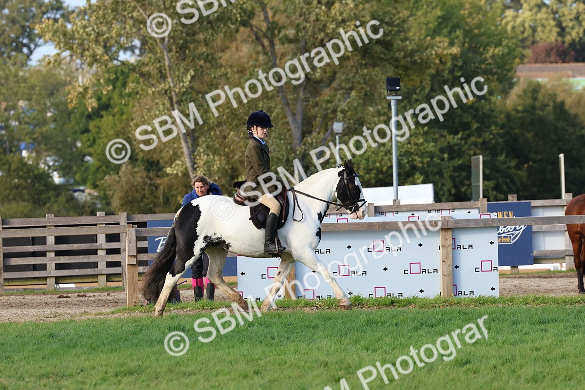 SBM_52578 - S13 - Pony Club Pony