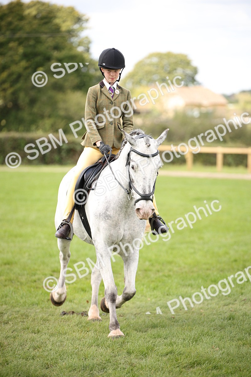 SBM_42295 - S13 - Pony Club Pony