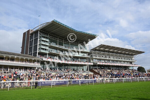 yr04092022r6-25 - Race 6 4.40pm Hanson Springs Stakes