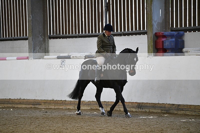 WJ5_5914 - Class 9 Ridden Veteran