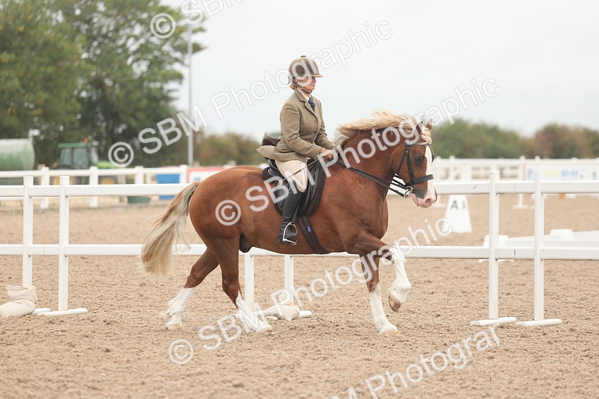 SBM_01882 - Class 14 - Ridden M&M Wildcard