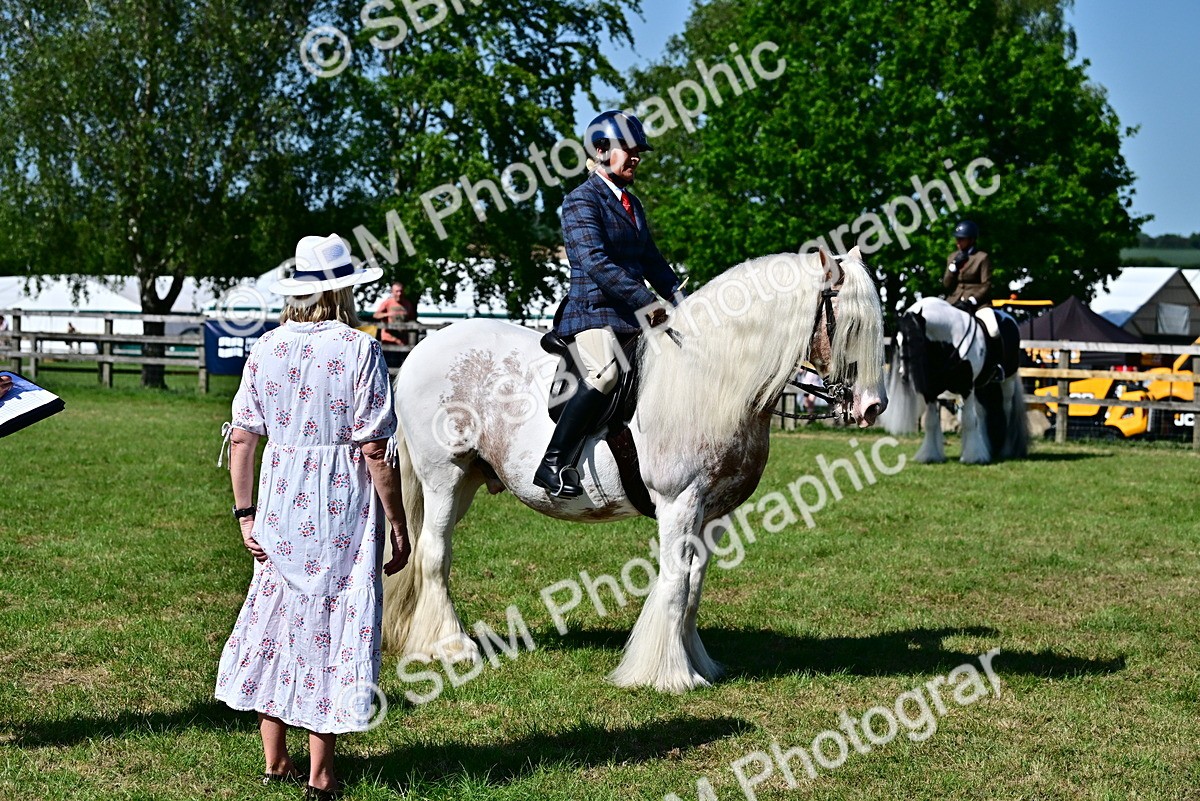 SBM_19393 - Class 101-102 - BSPS LIHS Performance Coloured Horse/Pony