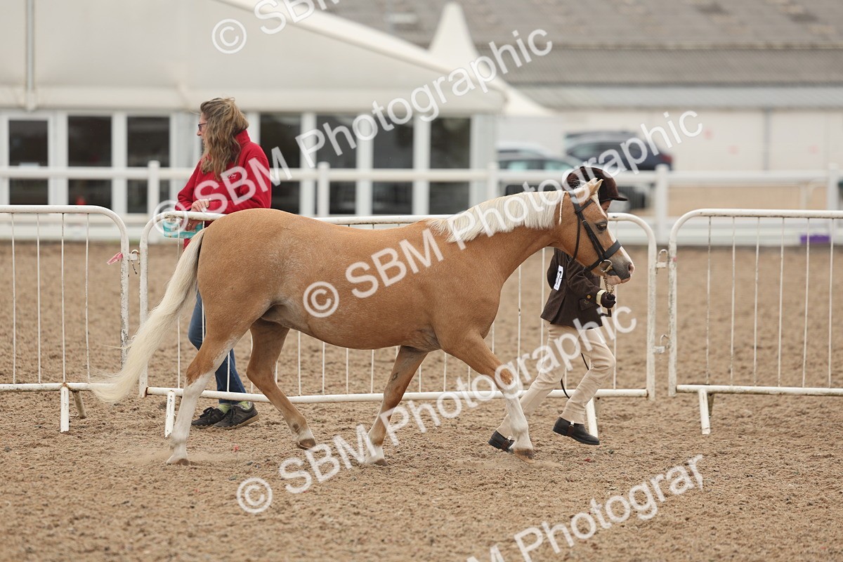 SBM_00533 - Class 13 Young Handler