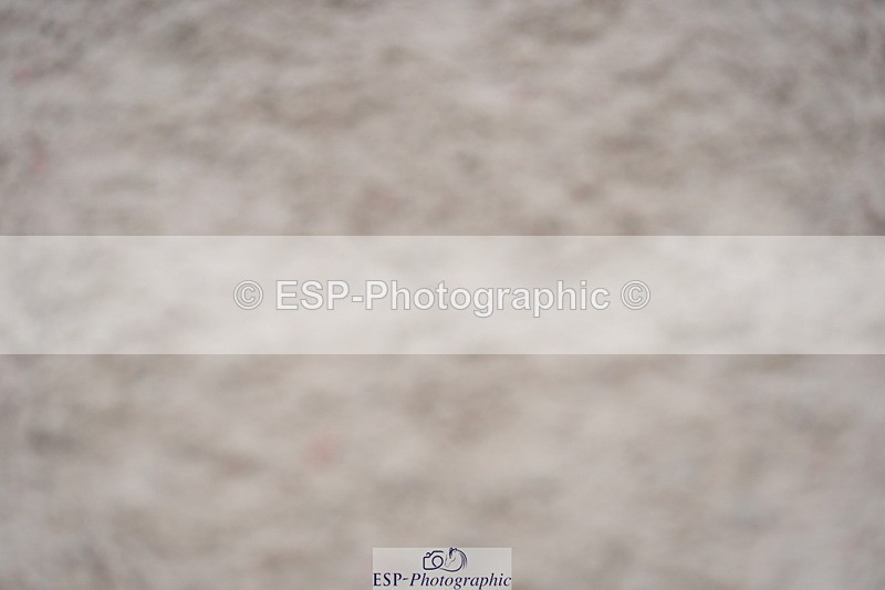 230924A-134914-06292 - 90 SJ Start to 14.00