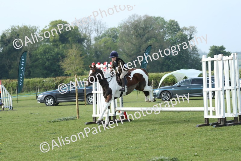 20260426-0074 - Class 13 - Rookie Jumping 50cm