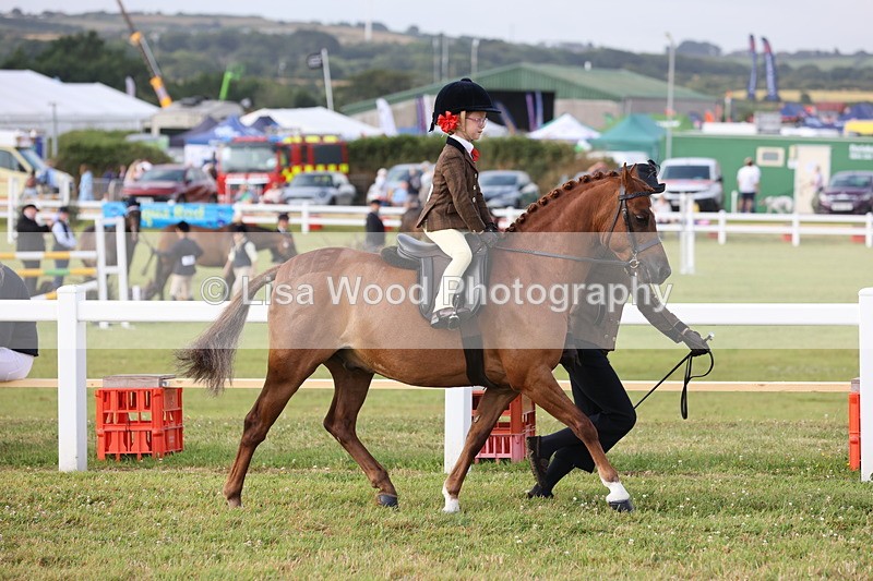 JPP_0275 - Class 14: Cornish Combination Leading Rein