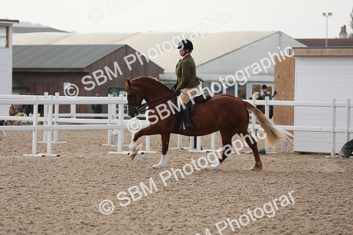 SBM_10071 - Class 302 Ridden M&M -Large Breeds