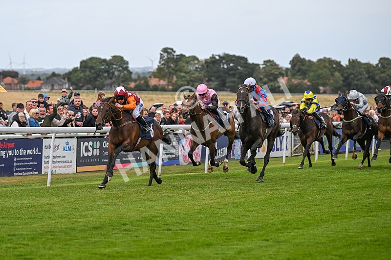 250824-Race 5-Lincoln Rockstar-3664 - Race 5