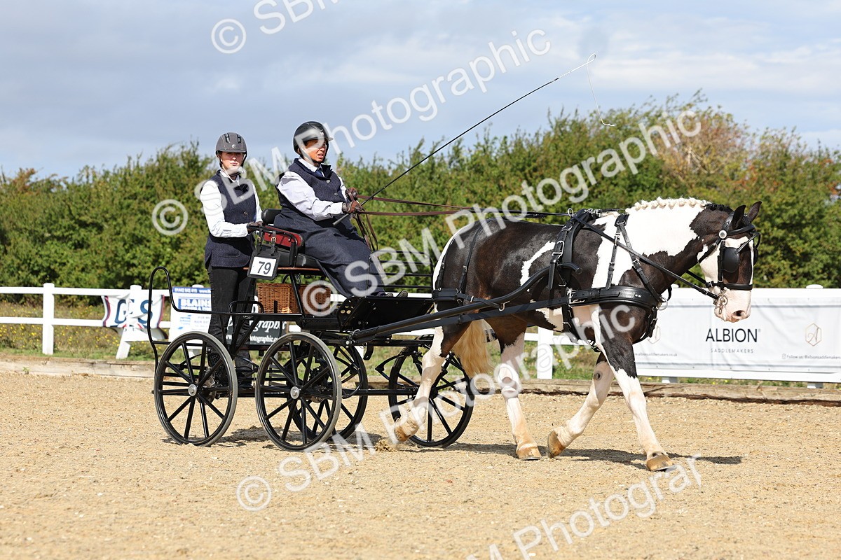 SBM_000889 - Class 8 - Novice Horse or Pony to any vehicle