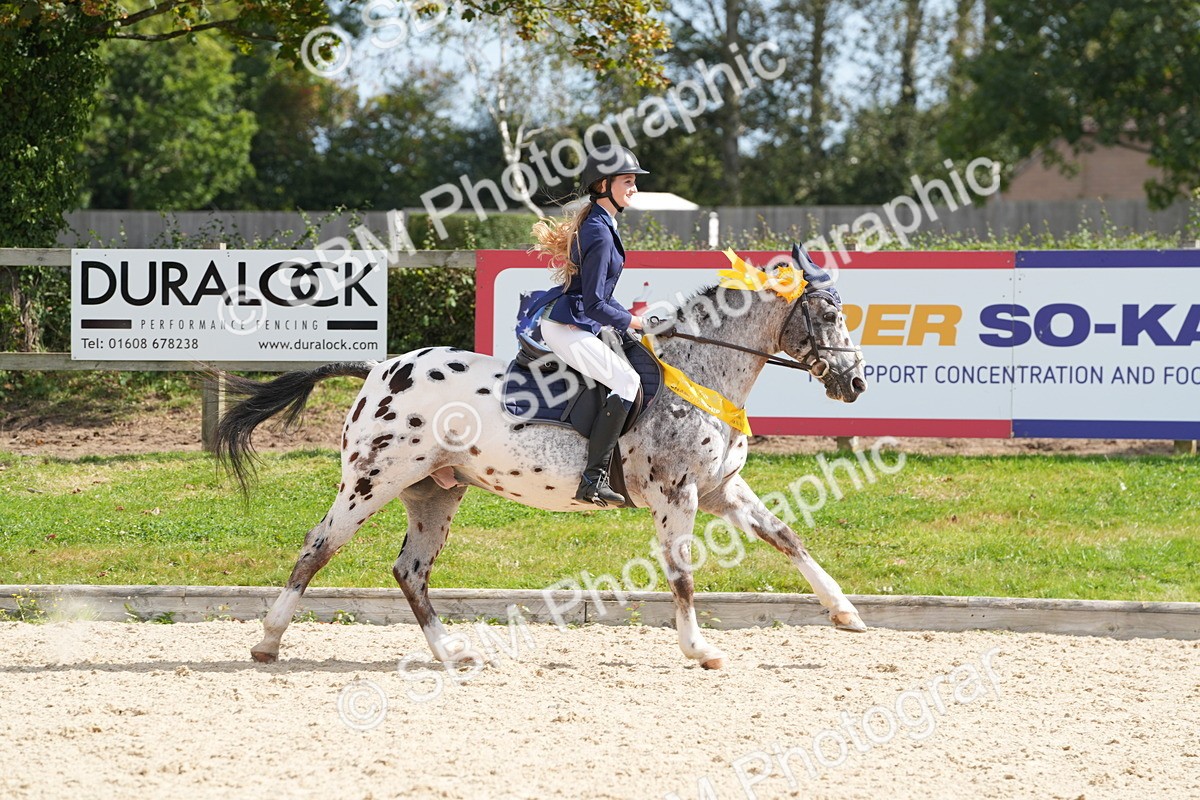 SBM_38933 - J21 - Junior Horse 60cm Championship