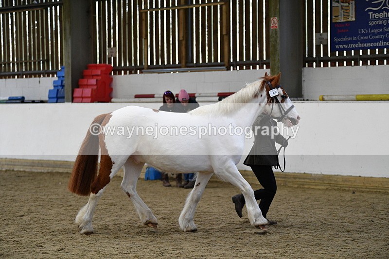 WJ5_5070 - Class 7 In hand coloured / odd coloured