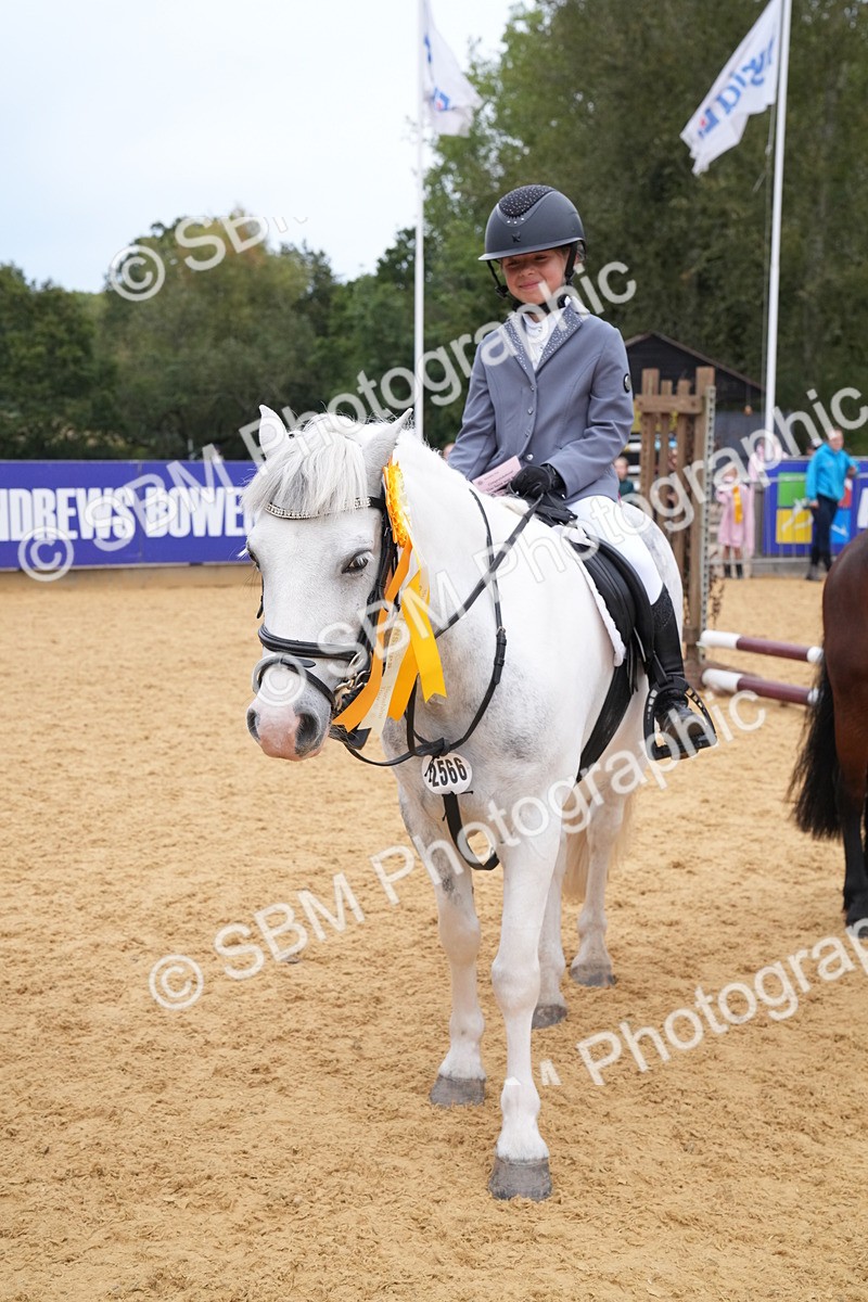 SBM_71778 - J3 - Mini Tour Junior Pony 40cm Championship