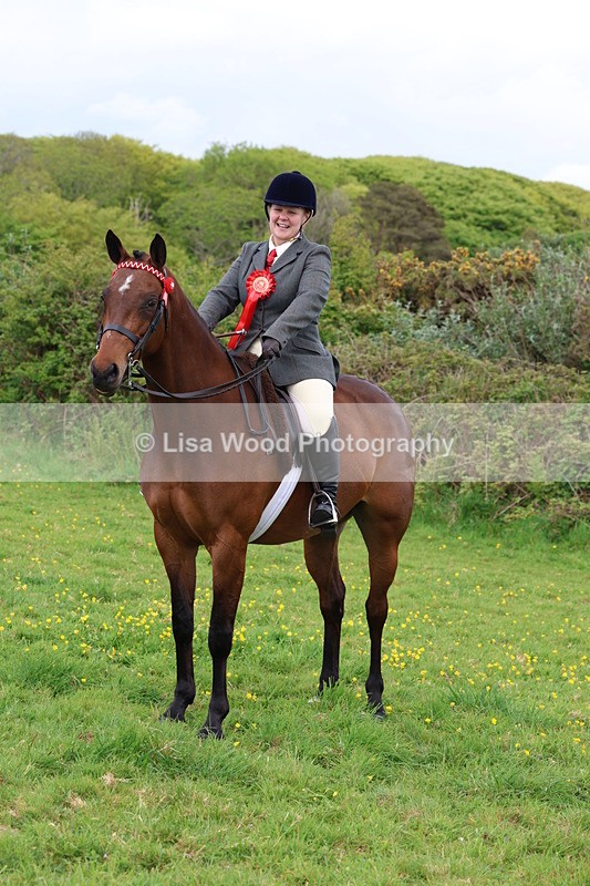 3E7A1902 - Class 9: Riding Club Horse/Pony