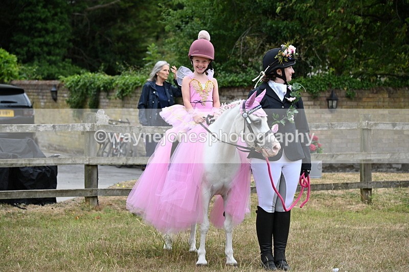 WJ6_9177 - Class 11 Fancy Dress