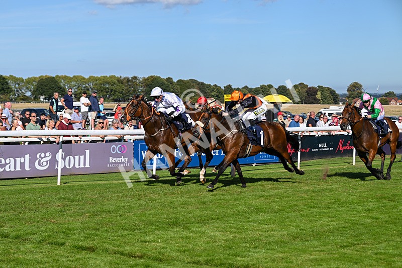 220926-Race 4-Toca Madera-4016 - Race 4 3.15pm Eddie And Violet Smith Conditions Stakes