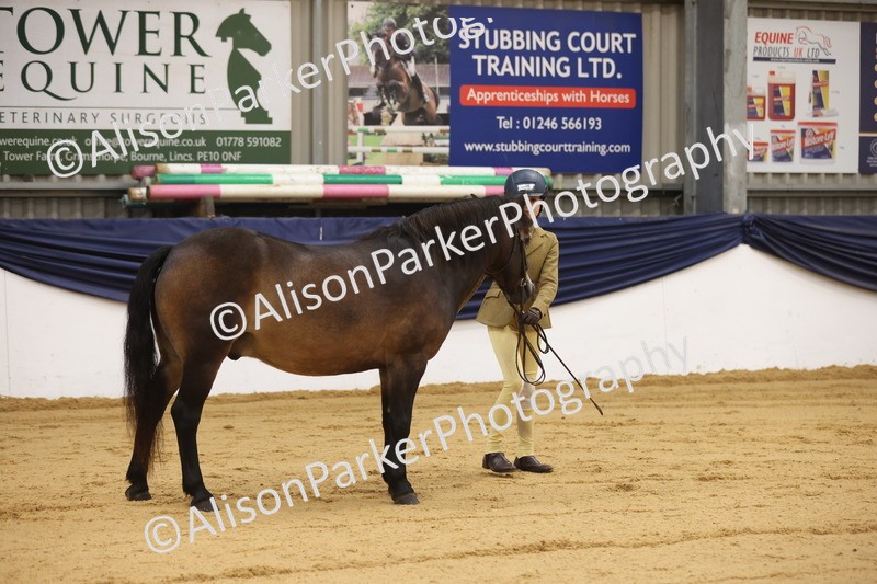 20260913-1107 - Class 110 - Bred In Other In Hand
