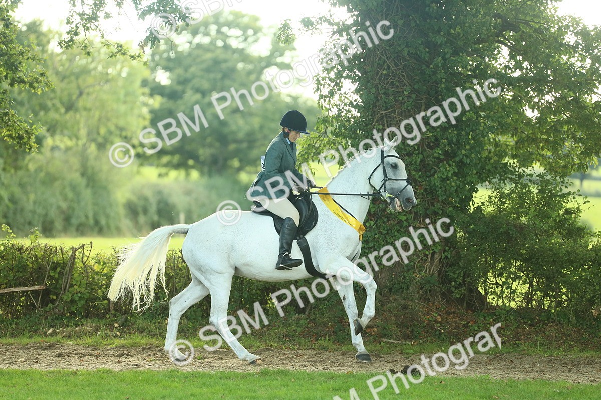 SBM_52256 - S33 - Working Hunter & Working Show Horse