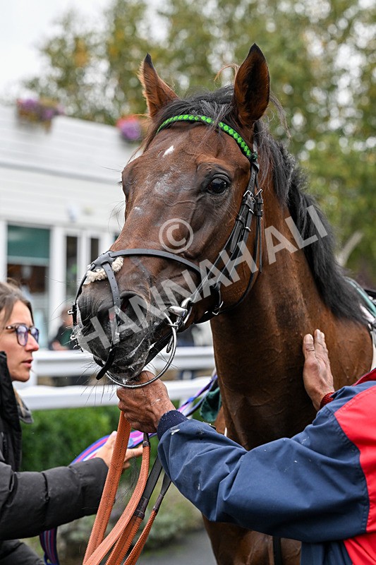 011025-Race 2-Campenaerts-0221 - Race 2
