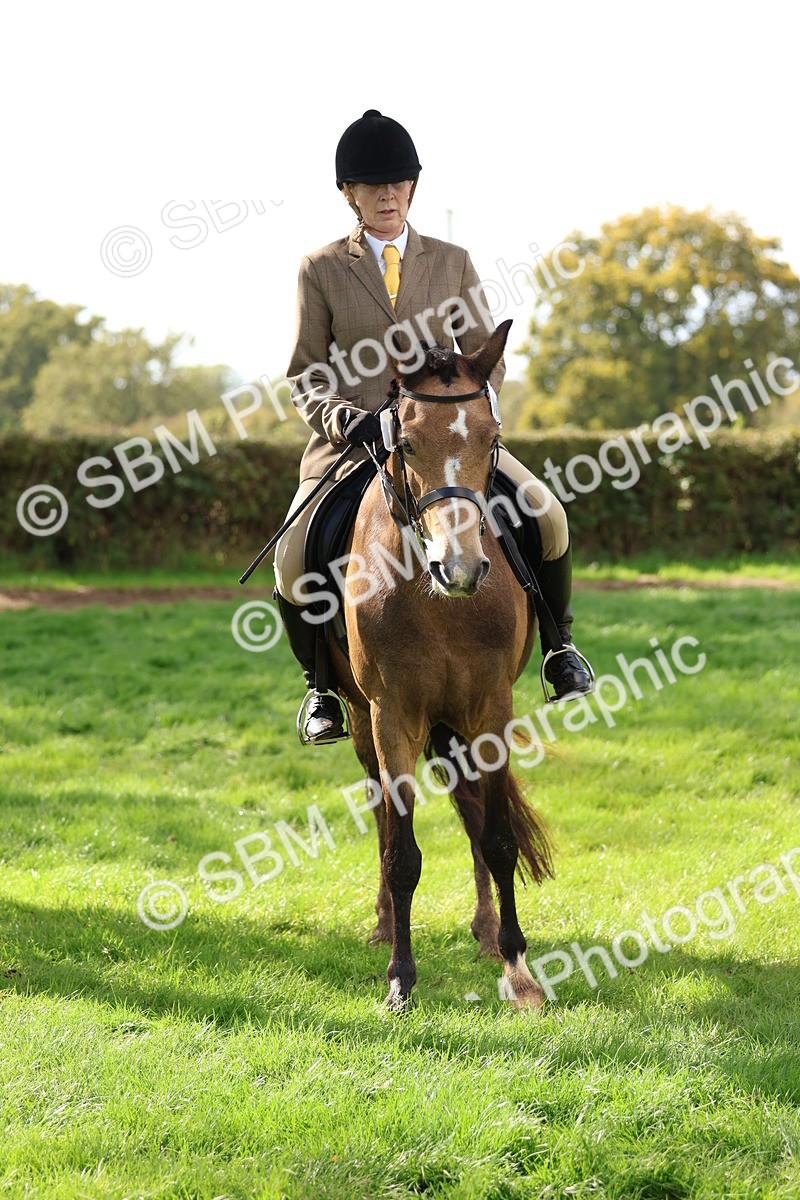 SBM_47723 - S28 - Veteran Ridden