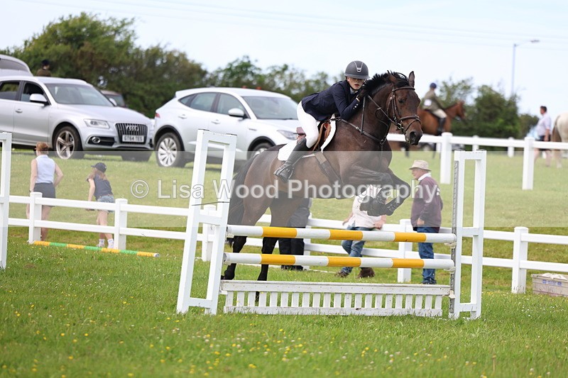 3E7A1810 - Class 13: Senior British Novice/90cm open