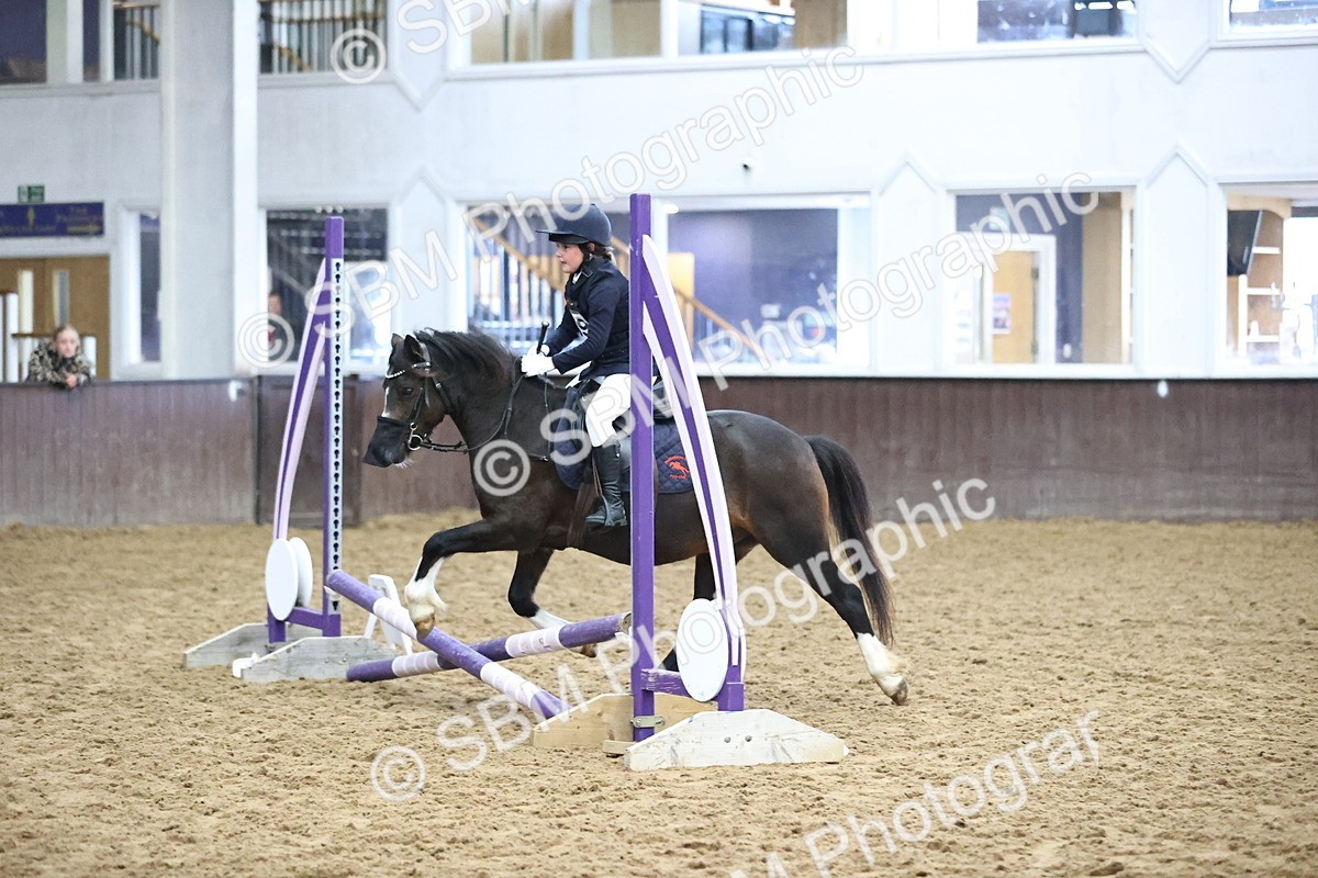 SBM_000140 - Class 2 - The Rug Lady 40cm Area 12 Championship Qualifier