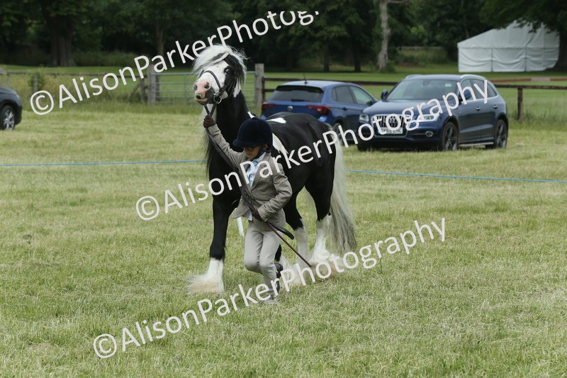20260614-4270 - Class 18 - Best Junior Handler