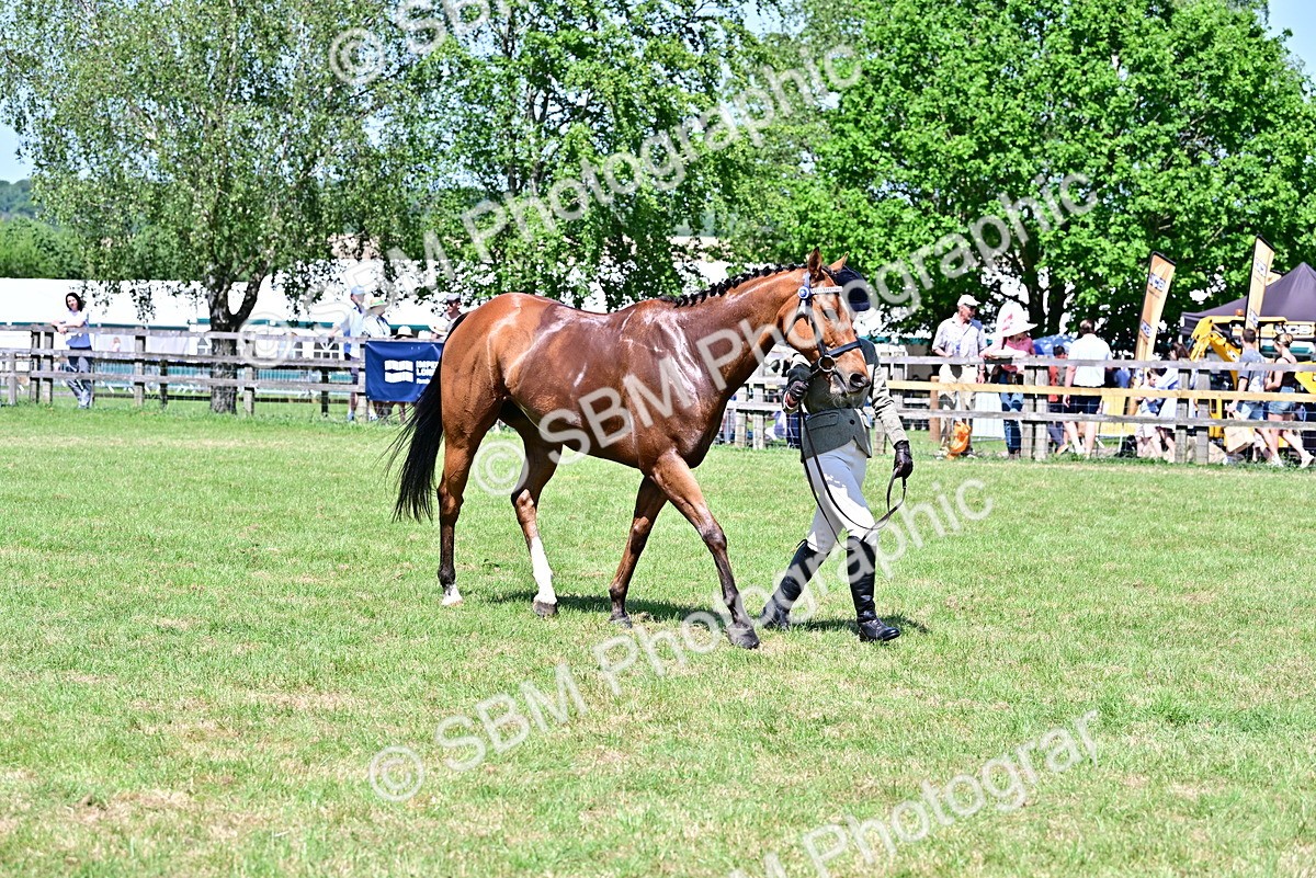 SBM_18187 - Class 99-100 - Retraining of Racehorses Ridden