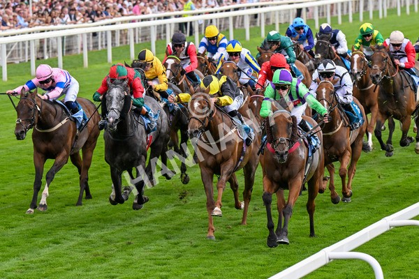 260725-Race 6-Billyb-0809 - Race 6 4.25pm Sky Bet Go-Racing-In-Yorkshire Summer Festival Handicap