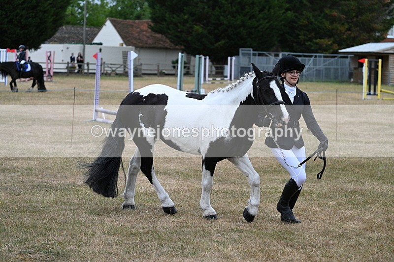 WJ7_8379 - Class 4 Prettiest Mare up to 14.2hh