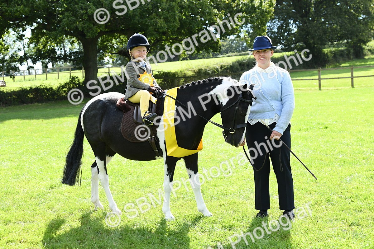 SBM_41267 - S19 - Lead Rein Show & Show Hunter Pony