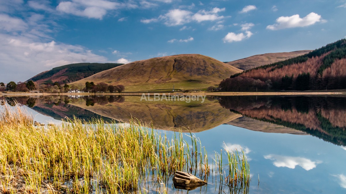 Loch of the Lowes - My Scotland - The Landscapes