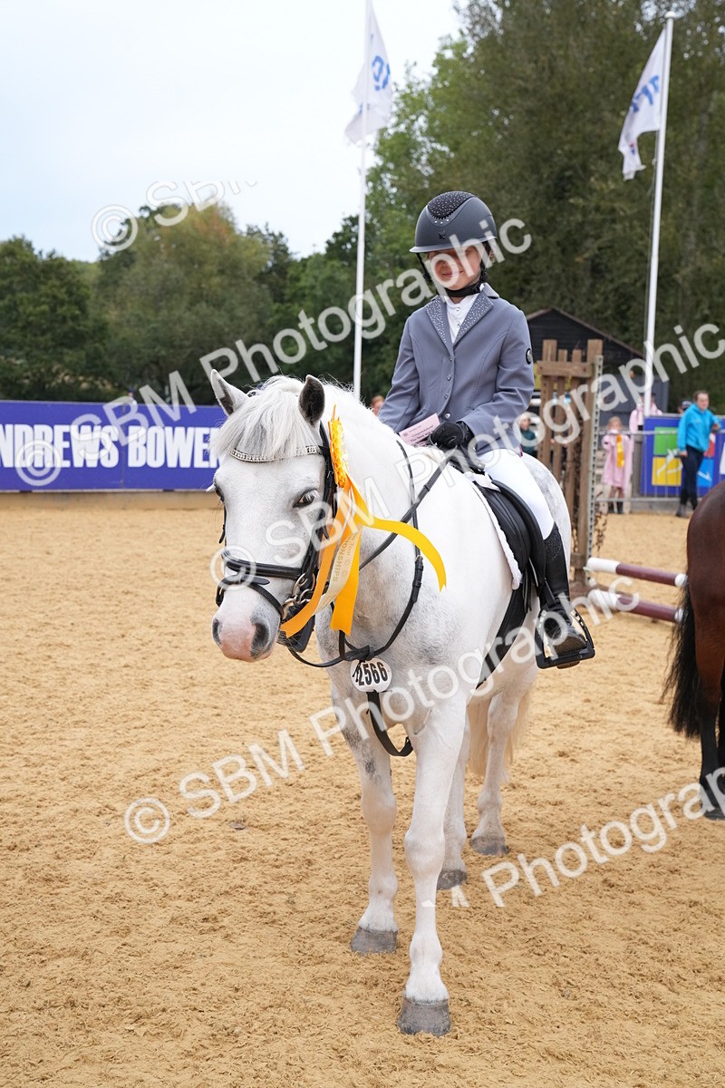 SBM_71779 - J3 - Mini Tour Junior Pony 40cm Championship
