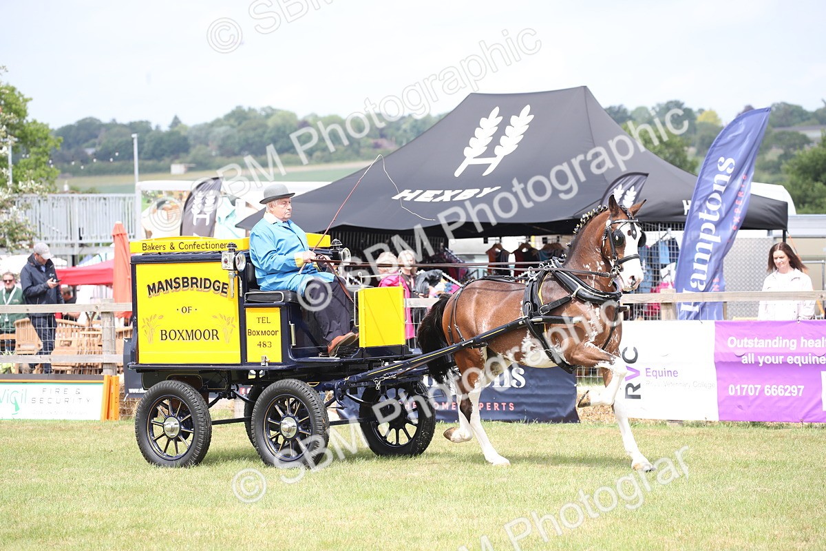 SBM_06977 - Class 16 - Light Trade