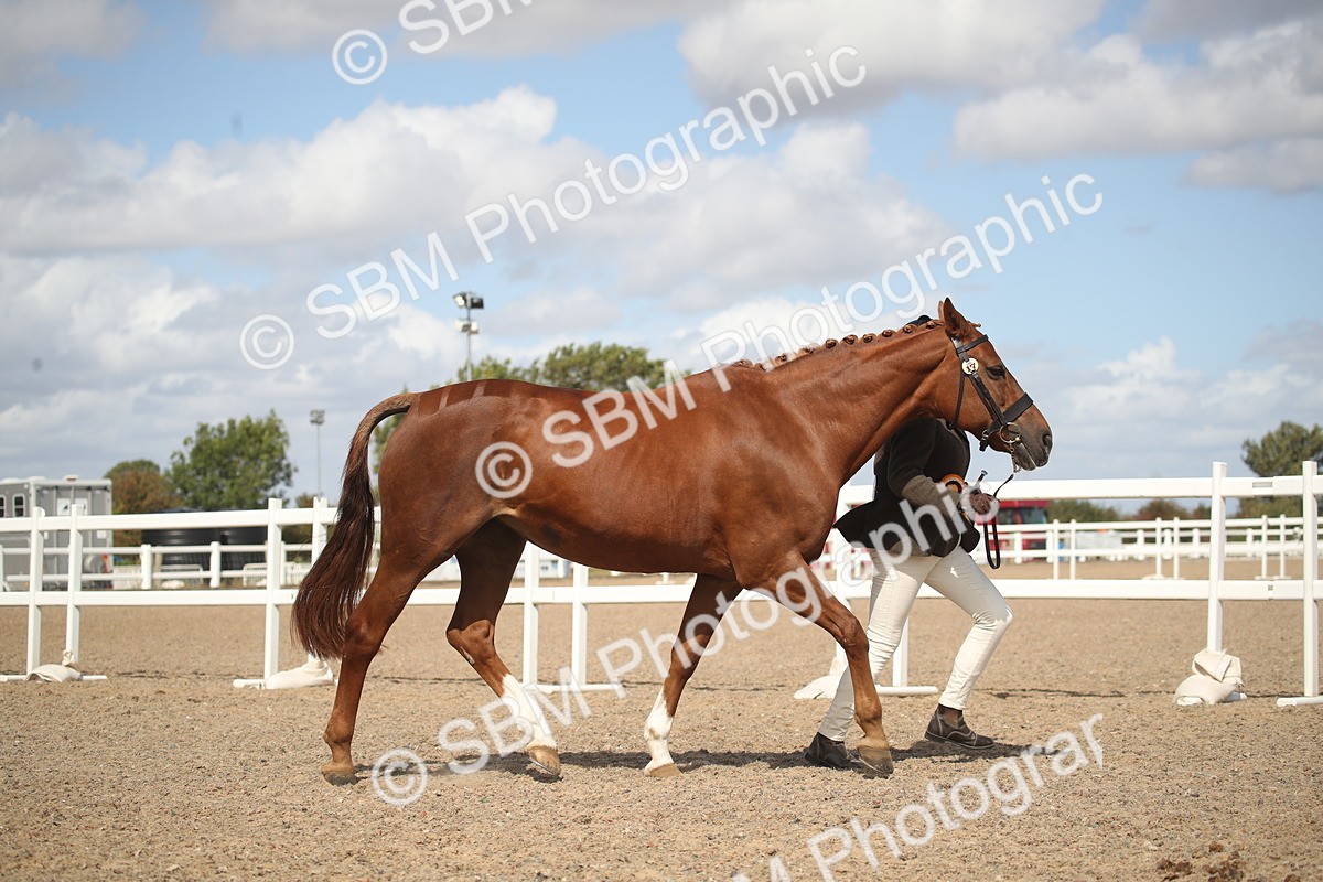 SBM_23182 - Class 606 - 2026 - Area - IH Pre Vet