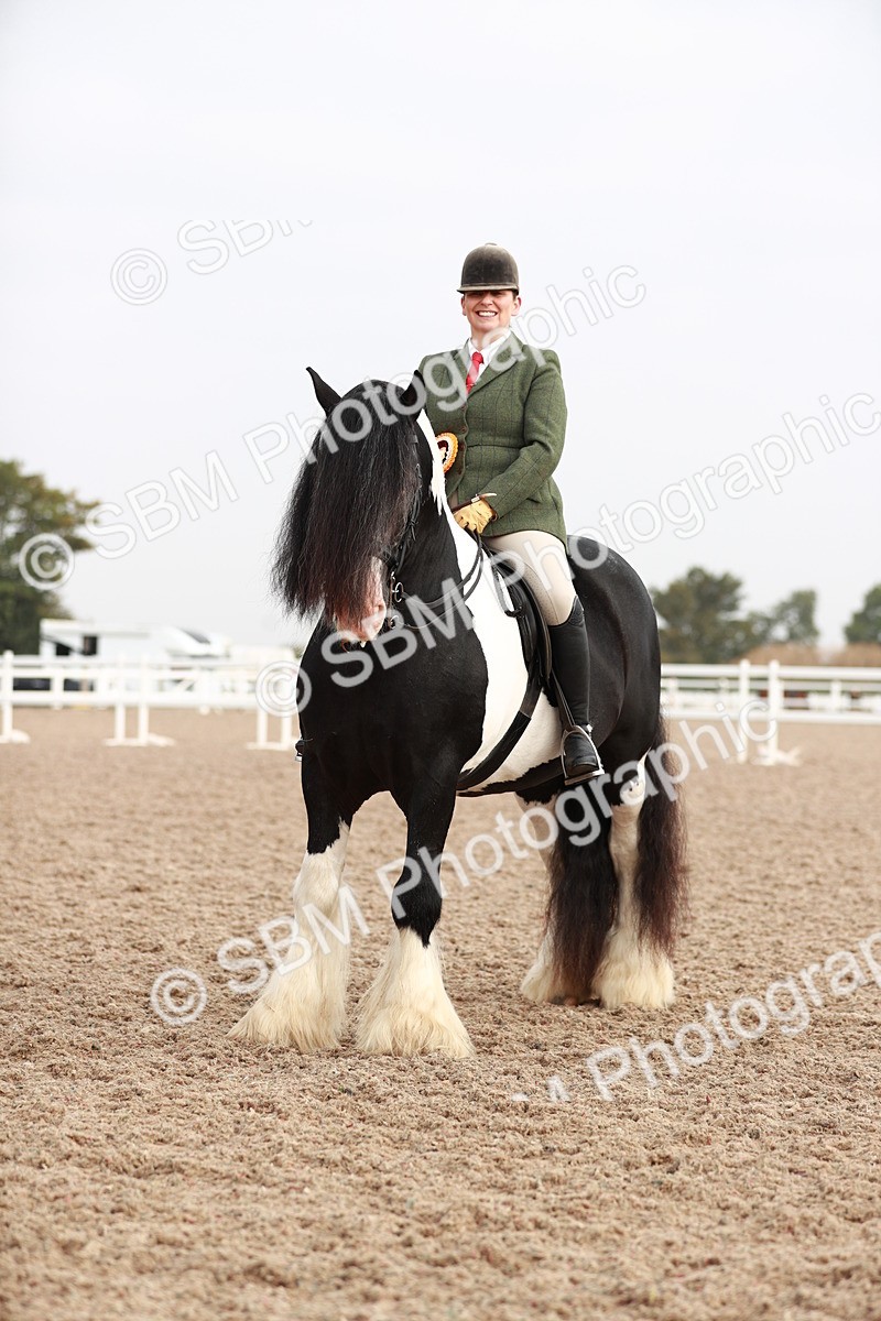 SBM_09457 - Class 202 Best Turned Out Ridden