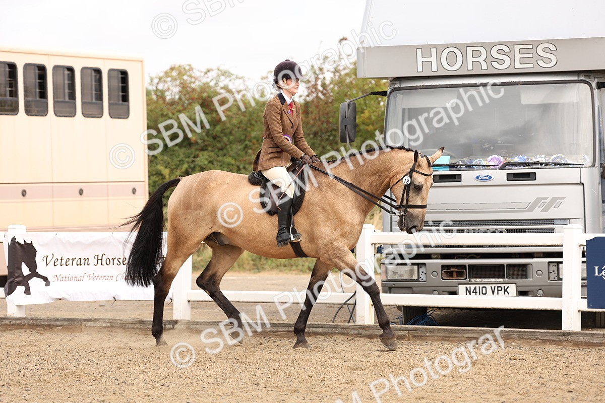 SBM_01657 - Class 52 - Ridden Veteran