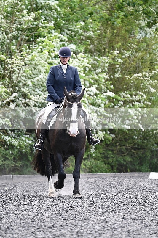 WJ7_9006 - Time 11:32 to 11:54