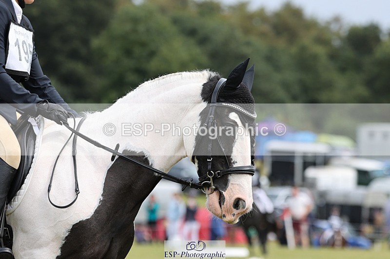 240824X-124611-27154 - D80 Section G and H 12.00 to 13.30