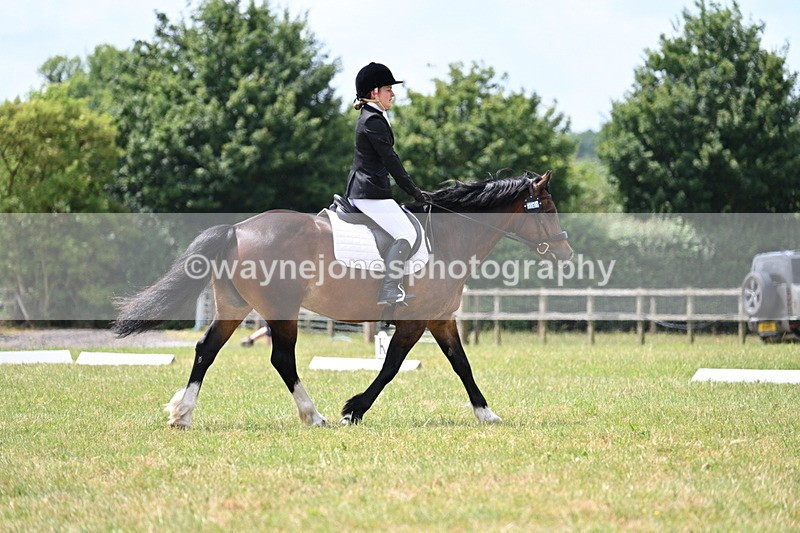 WJ7_5574 - Time 11:52 to 12:10