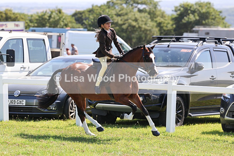 IMG_2022 - Class 34: Show Hunter Pony 153cm and under