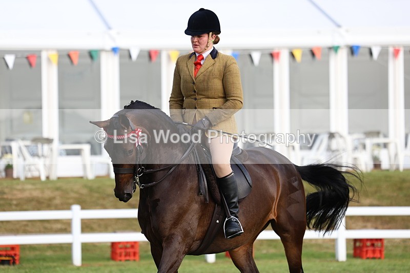 3E7A7833 - Class 1: Rising Star Small Hack/Riding Horses