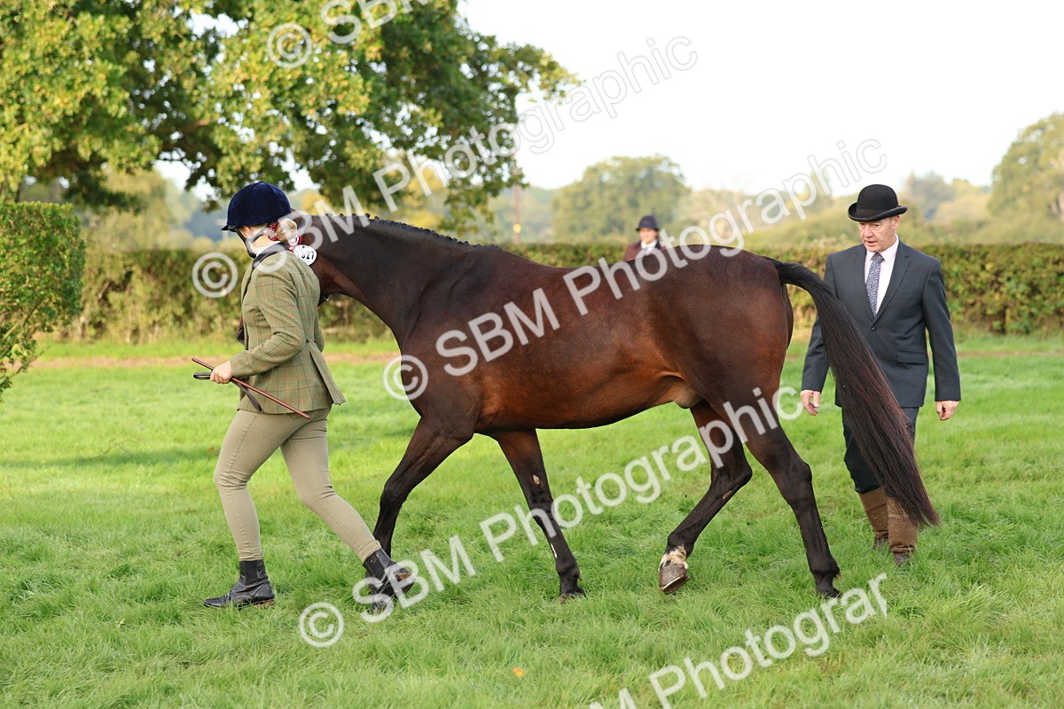 SBM_54880 - S39 - Starters In Hand Showing