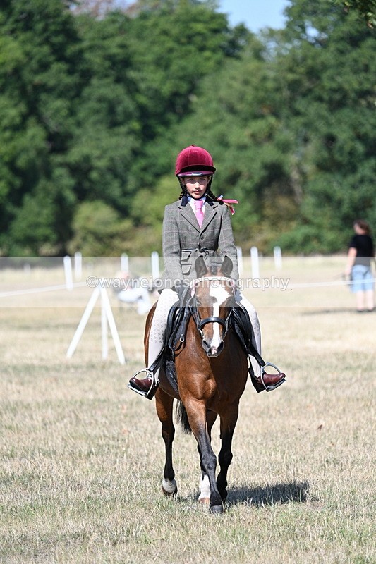 WJ7_4047 - Class 9 Mountain & Moorland Ridden