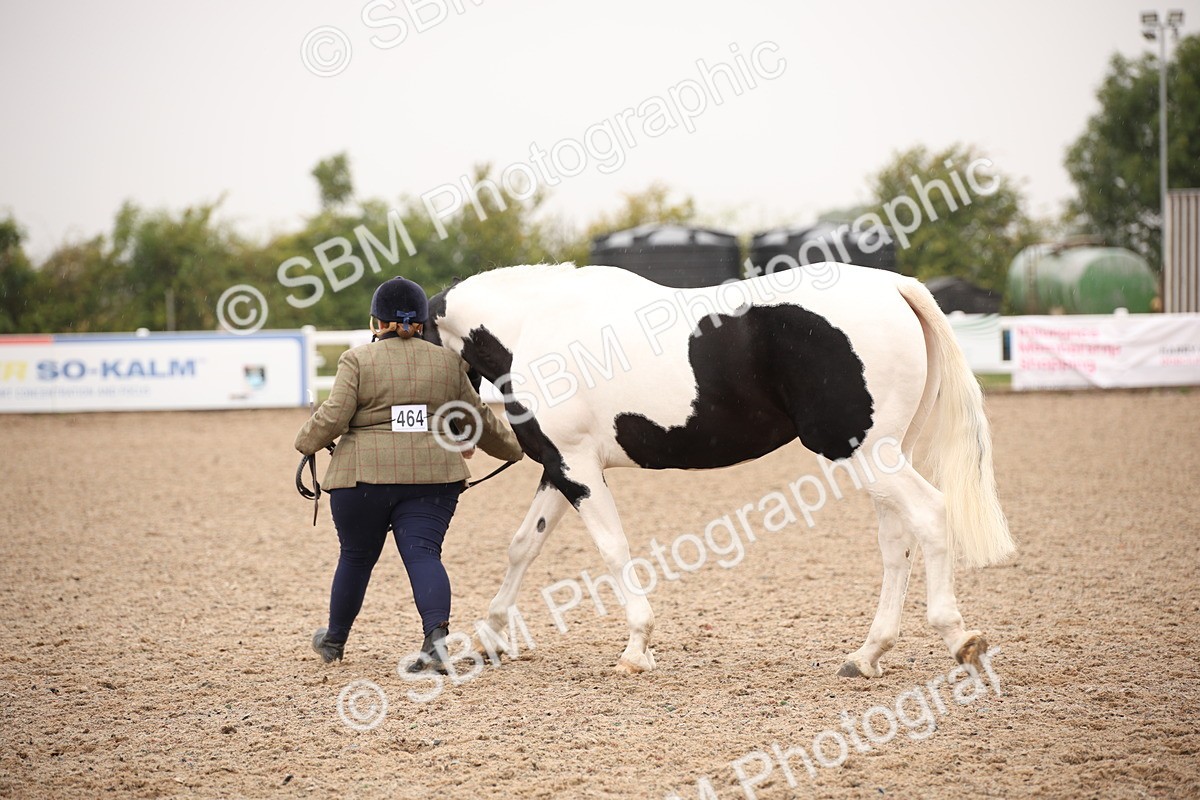 SBM_20188 - Class 703 - IH  Coloured