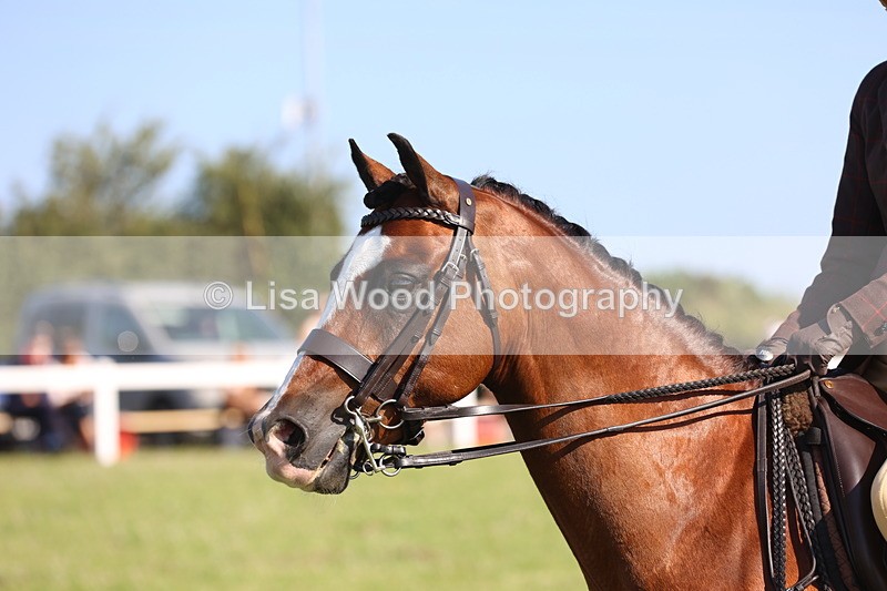 JPP_1433 - Class 18: Cornish Combination Young Rider